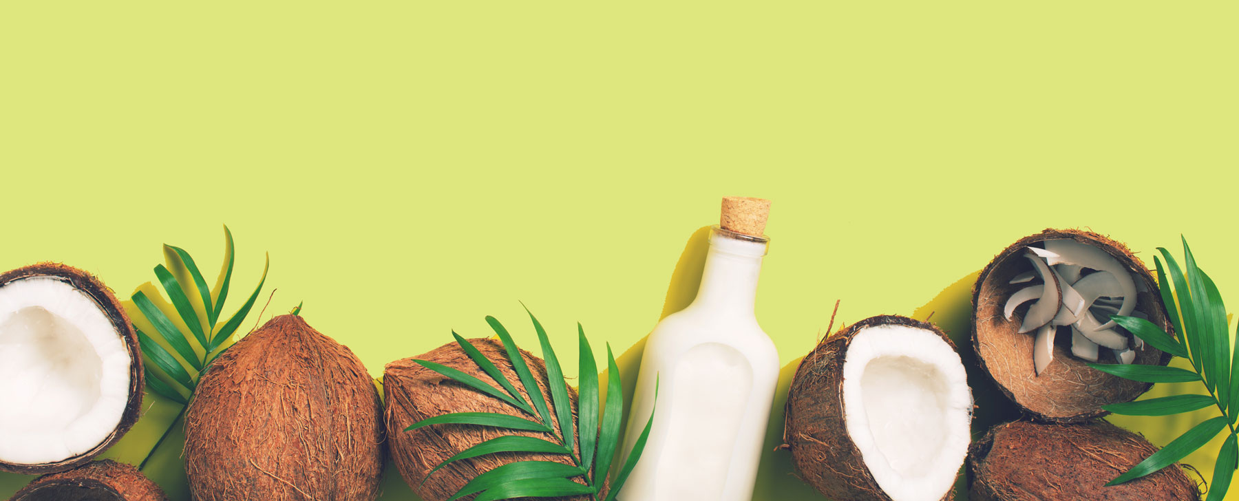 Coconuts are an awesome, natural source of fuel for those looking for a delicious plant-based treat. Here at Naturally Brand, we’re excited to bring you our Naturally Coconut, available in Original, Unsweetened Original, Vanilla, Banana and Guanabana flavors.